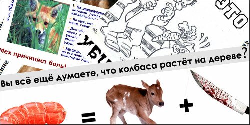 ������������ �������� �� ������ �������� � ��������������