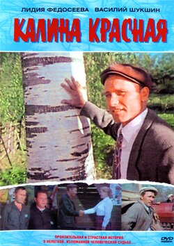 ������� ��������� ����� ������ ������� DVDrip